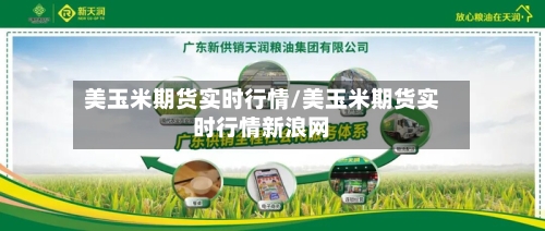 美玉米期货实时行情/美玉米期货实时行情新浪网-第2张图片