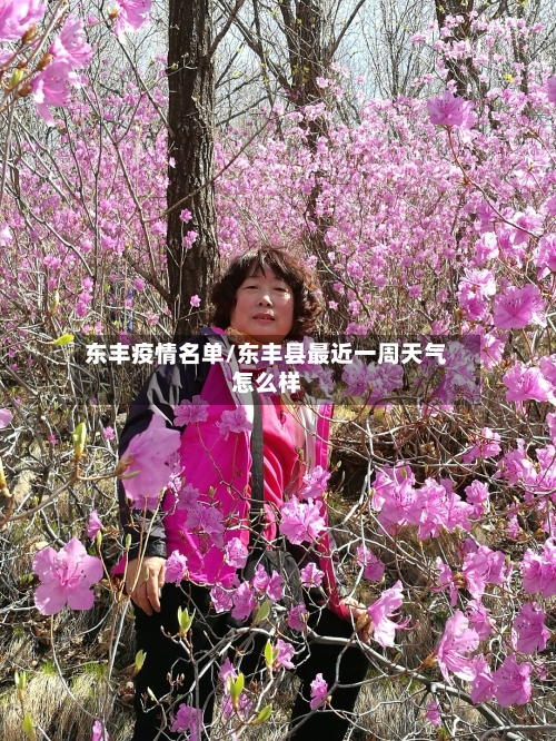 东丰疫情名单/东丰县最近一周天气怎么样