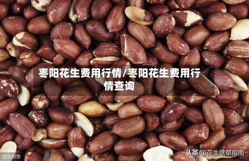 枣阳花生费用行情/枣阳花生费用行情查询