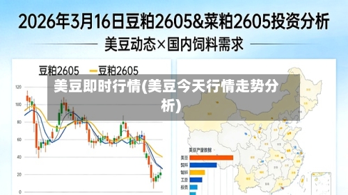 美豆即时行情(美豆今天行情走势分析)