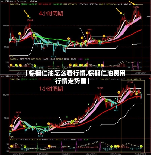 【棕榈仁油怎么看行情,棕榈仁油费用行情走势图】-第2张图片