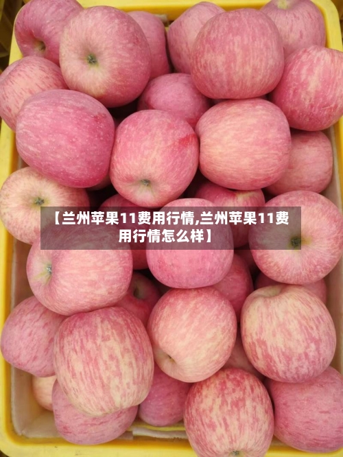 【兰州苹果11费用行情,兰州苹果11费用行情怎么样】-第2张图片