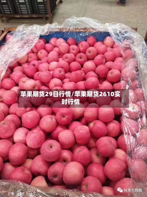 苹果期货29日行情/苹果期货2610实时行情