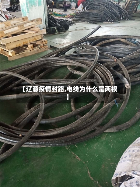 【辽源疫情封路,电线为什么是两根】