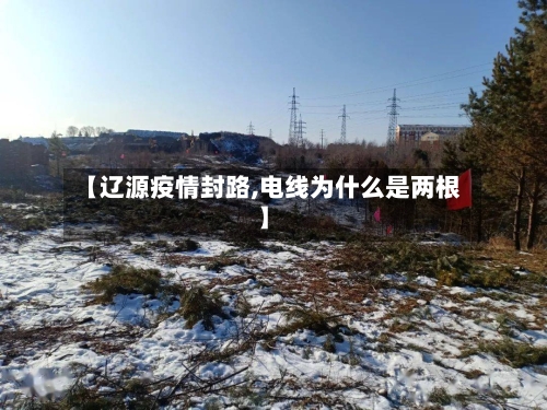 【辽源疫情封路,电线为什么是两根】-第2张图片