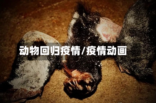 动物回归疫情/疫情动画-第2张图片