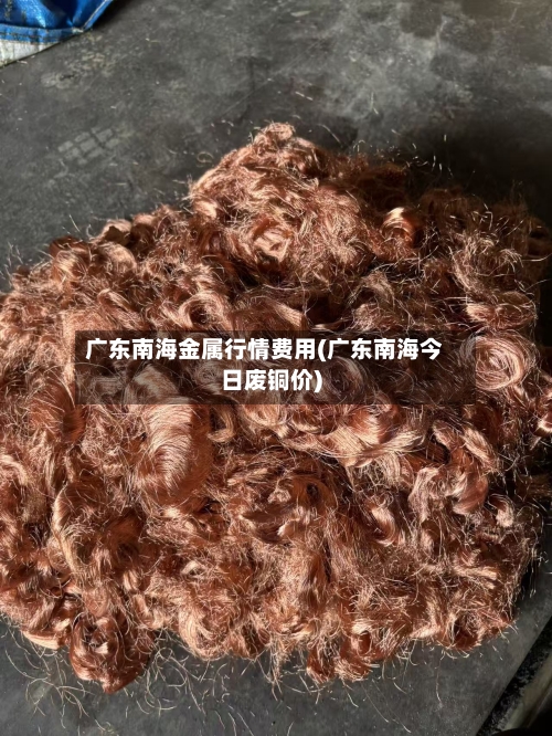 广东南海金属行情费用(广东南海今日废铜价)