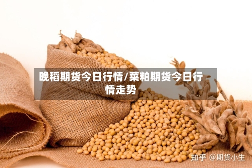 晚稻期货今日行情/菜粕期货今日行情走势
