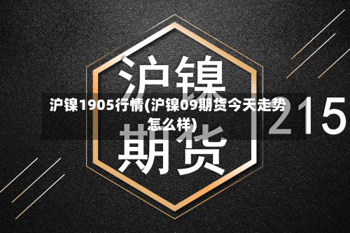 沪镍1905行情(沪镍09期货今天走势怎么样)