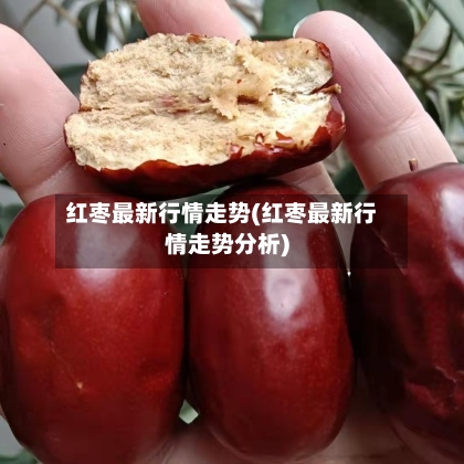 红枣最新行情走势(红枣最新行情走势分析)