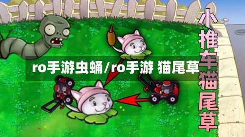 ro手游虫蛹/ro手游 猫尾草-第2张图片