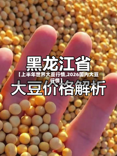 【上半年世界大豆行情,2026国内大豆行情】-第2张图片