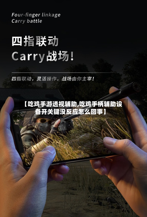 【吃鸡手游透视辅助,吃鸡手柄辅助设备开关键没反应怎么回事】-第2张图片