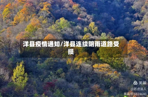 洋县疫情通知/洋县连续阴雨道路受损-第3张图片