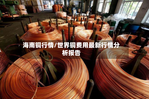 海南铜行情/世界铜费用最新行情分析报告