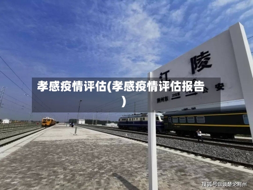 孝感疫情评估(孝感疫情评估报告)