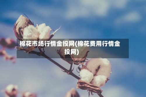棉花市场行情金投网(棉花费用行情金投网)