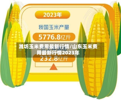 潍坊玉米费用最新行情/山东玉米费用最新行情2023年-第2张图片