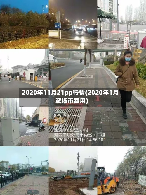2020年11月21pp行情(2020年1月波场币费用)