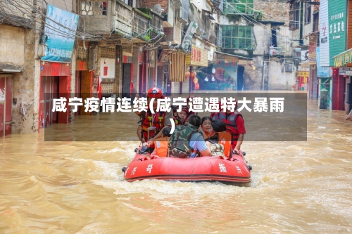 咸宁疫情连续(咸宁遭遇特大暴雨)-第2张图片