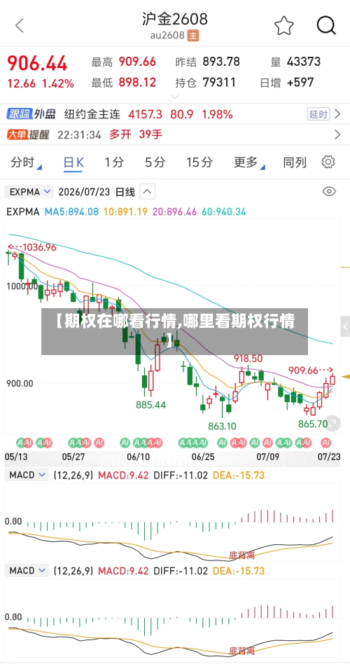 【期权在哪看行情,哪里看期权行情】