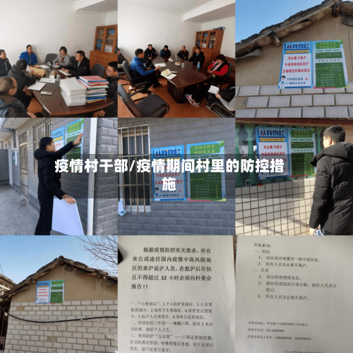 疫情村干部/疫情期间村里的防控措施