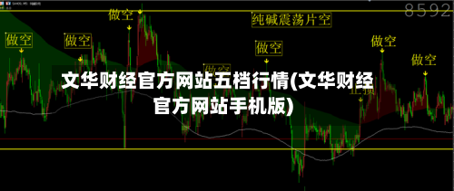 文华财经官方网站五档行情(文华财经官方网站手机版)-第2张图片