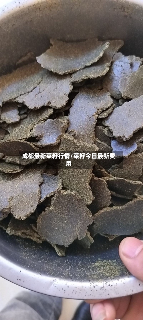 成都最新菜籽行情/菜籽今日最新费用-第2张图片