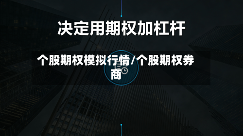 个股期权模拟行情/个股期权券商-第2张图片