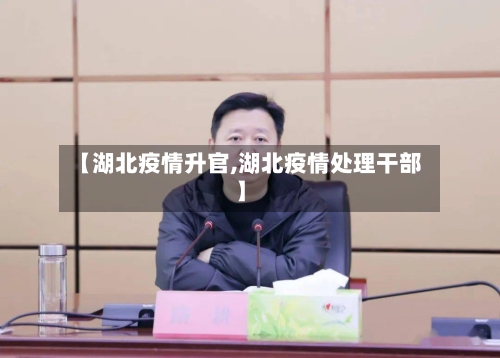 【湖北疫情升官,湖北疫情处理干部】-第2张图片