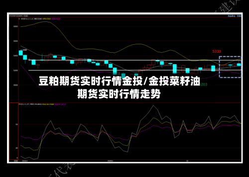 豆粕期货实时行情金投/金投菜籽油期货实时行情走势