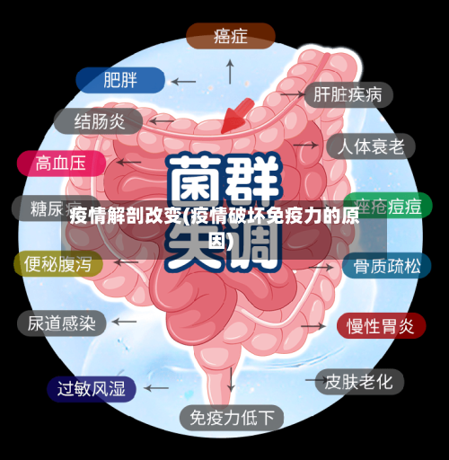 疫情解剖改变(疫情破坏免疫力的原因)-第2张图片