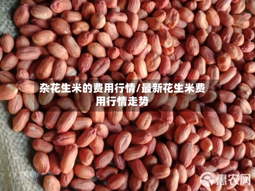 杂花生米的费用行情/最新花生米费用行情走势