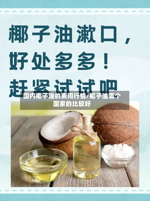 国内椰子油的费用行情/椰子油哪个国家的比较好-第3张图片