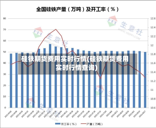 硅铁期货费用实时行情(硅铁期货费用实时行情查询)