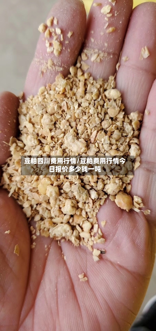 豆粕四川费用行情/豆粕费用行情今日报价多少钱一吨