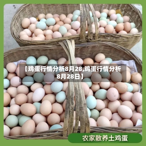 【鸡蛋行情分析8月28,鸡蛋行情分析8月28日】