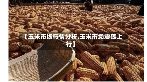 【玉米市场行情分析,玉米市场震荡上行】-第2张图片