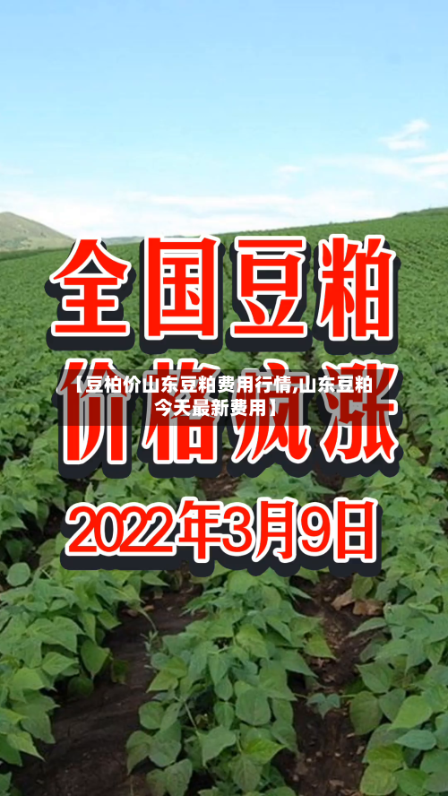 【豆柏价山东豆粕费用行情,山东豆粕今天最新费用】-第2张图片