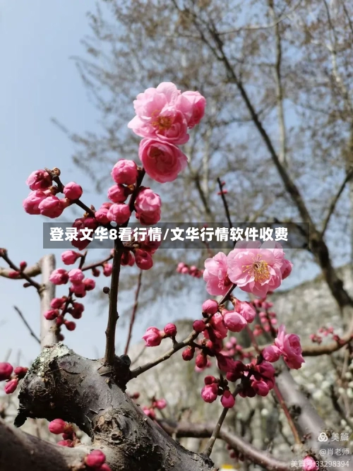 登录文华8看行情/文华行情软件收费-第2张图片