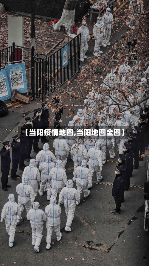 【当阳疫情地图,当阳地图全图】-第2张图片