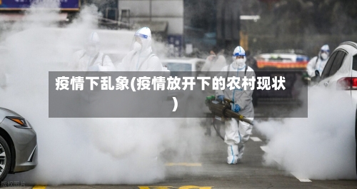 疫情下乱象(疫情放开下的农村现状)-第3张图片
