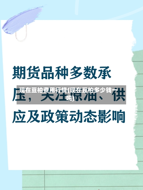 现在豆柏费用行情(现在豆柏多少钱一吨)-第2张图片