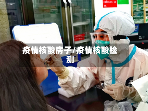 疫情核酸房子/疫情核酸检测-第3张图片