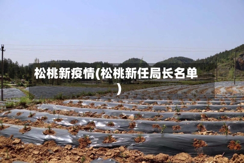 松桃新疫情(松桃新任局长名单)-第3张图片