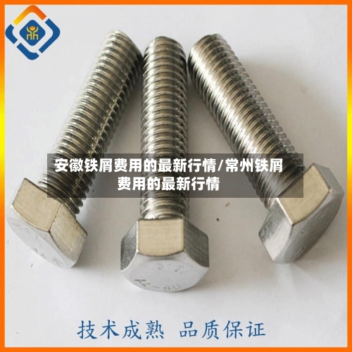 安徽铁屑费用的最新行情/常州铁屑费用的最新行情-第2张图片