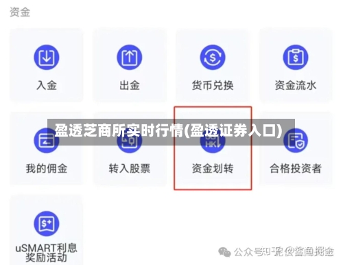 盈透芝商所实时行情(盈透证券入口)