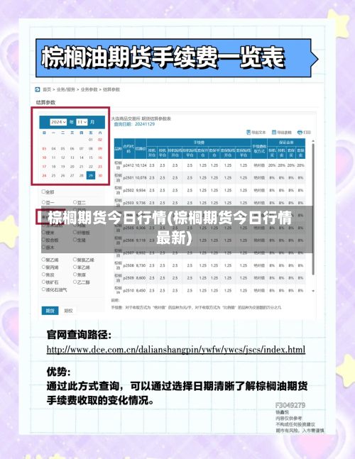 棕榈期货今日行情(棕榈期货今日行情最新)-第2张图片