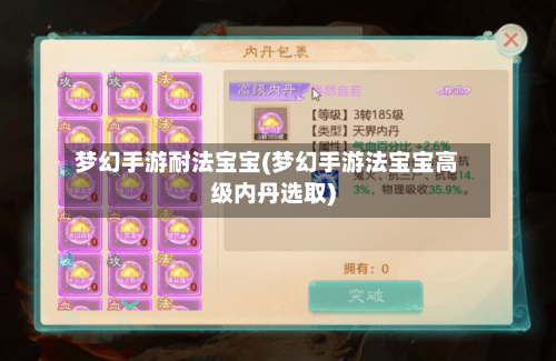 梦幻手游耐法宝宝(梦幻手游法宝宝高级内丹选取)