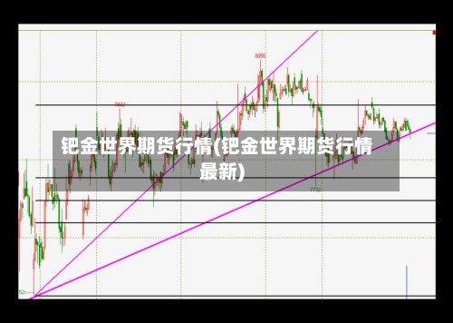 钯金世界期货行情(钯金世界期货行情最新)-第3张图片